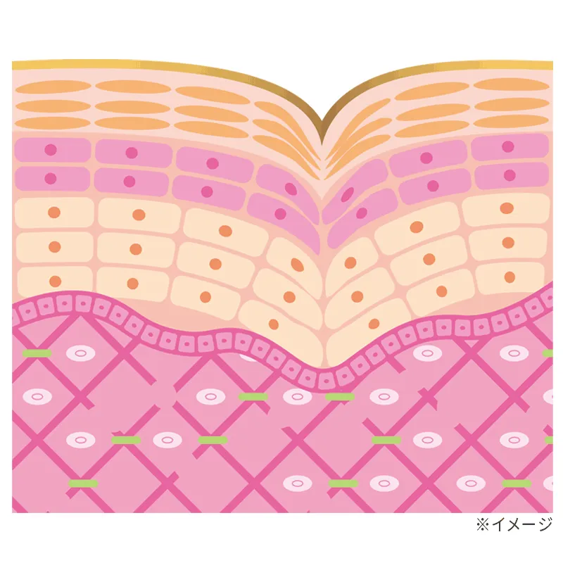 シワができた肌