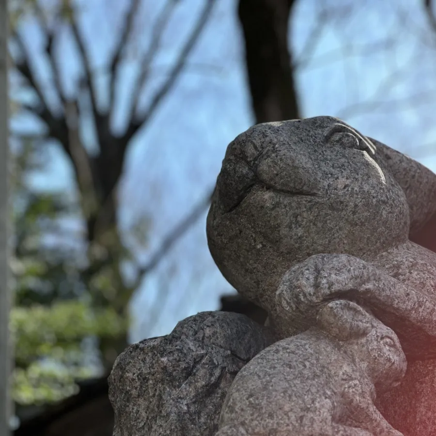 調神社の狛うさぎ