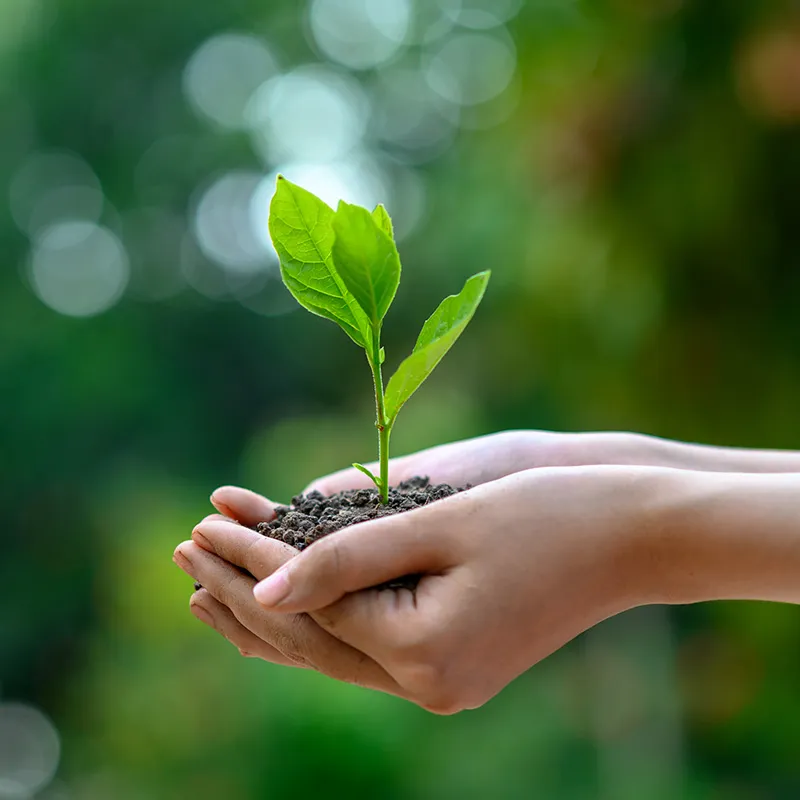 4月22日は「アースデイ」